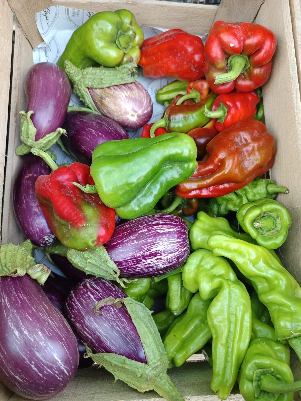 Gigi's Farm