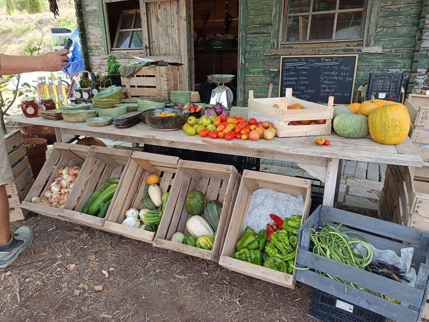 Gigi's Farm