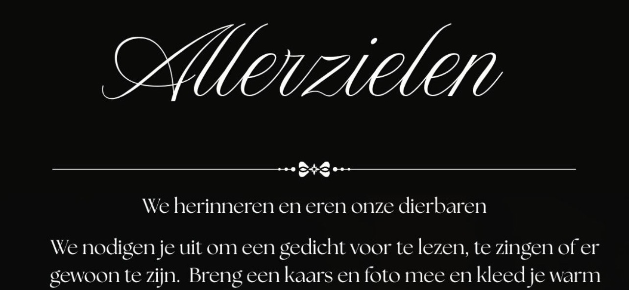 🕯️ Allerzielen aan zee; een moment van herinnering en verbondenheid
